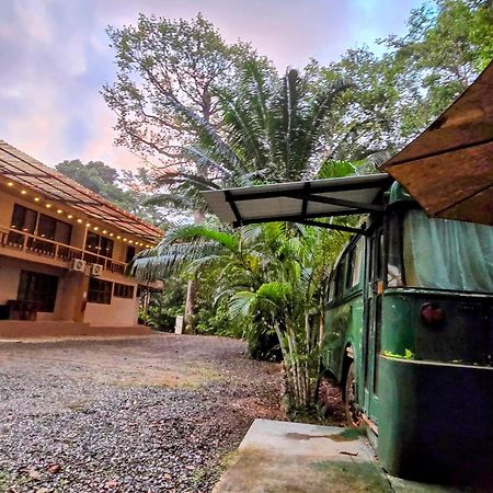 Cool Waters Jungle Villas 乌维塔 外观 照片