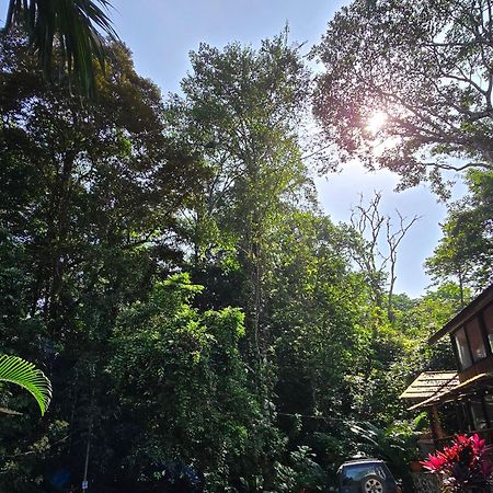 Cool Waters Jungle Villas 乌维塔 外观 照片