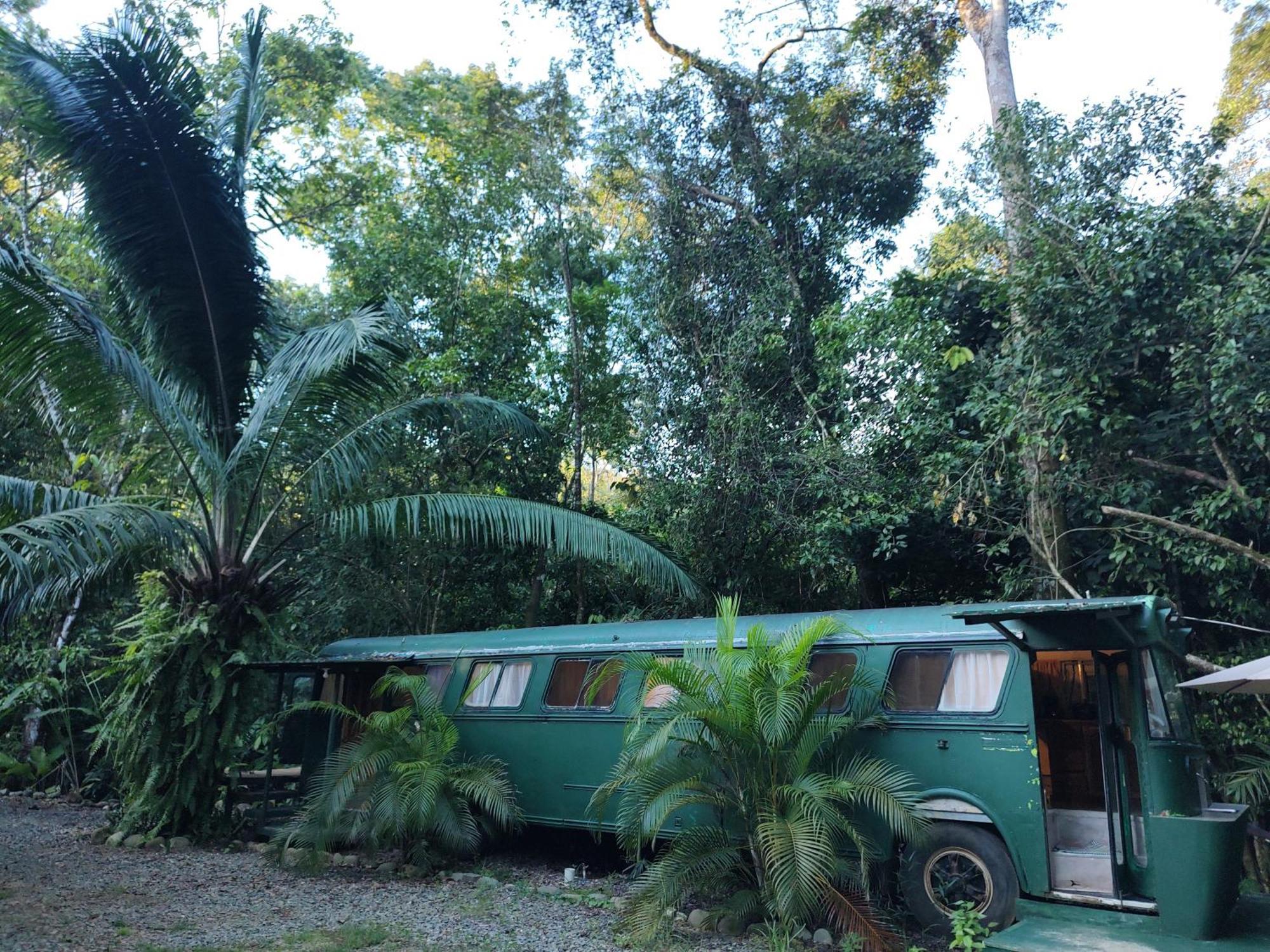 Cool Waters Jungle Villas 乌维塔 外观 照片