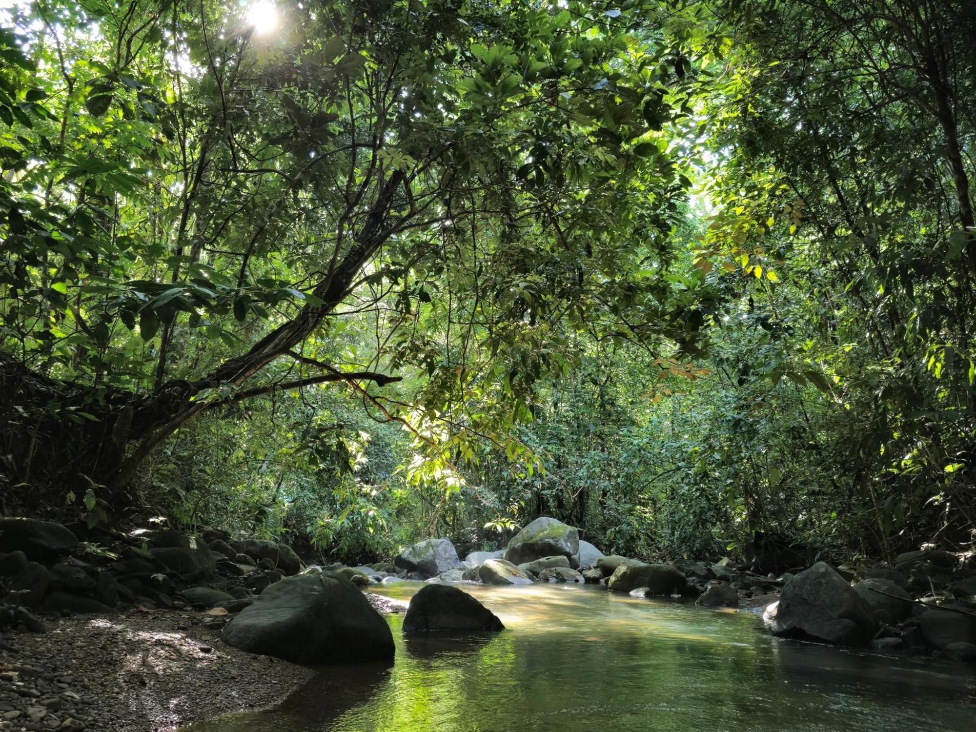 Cool Waters Jungle Villas 乌维塔 外观 照片