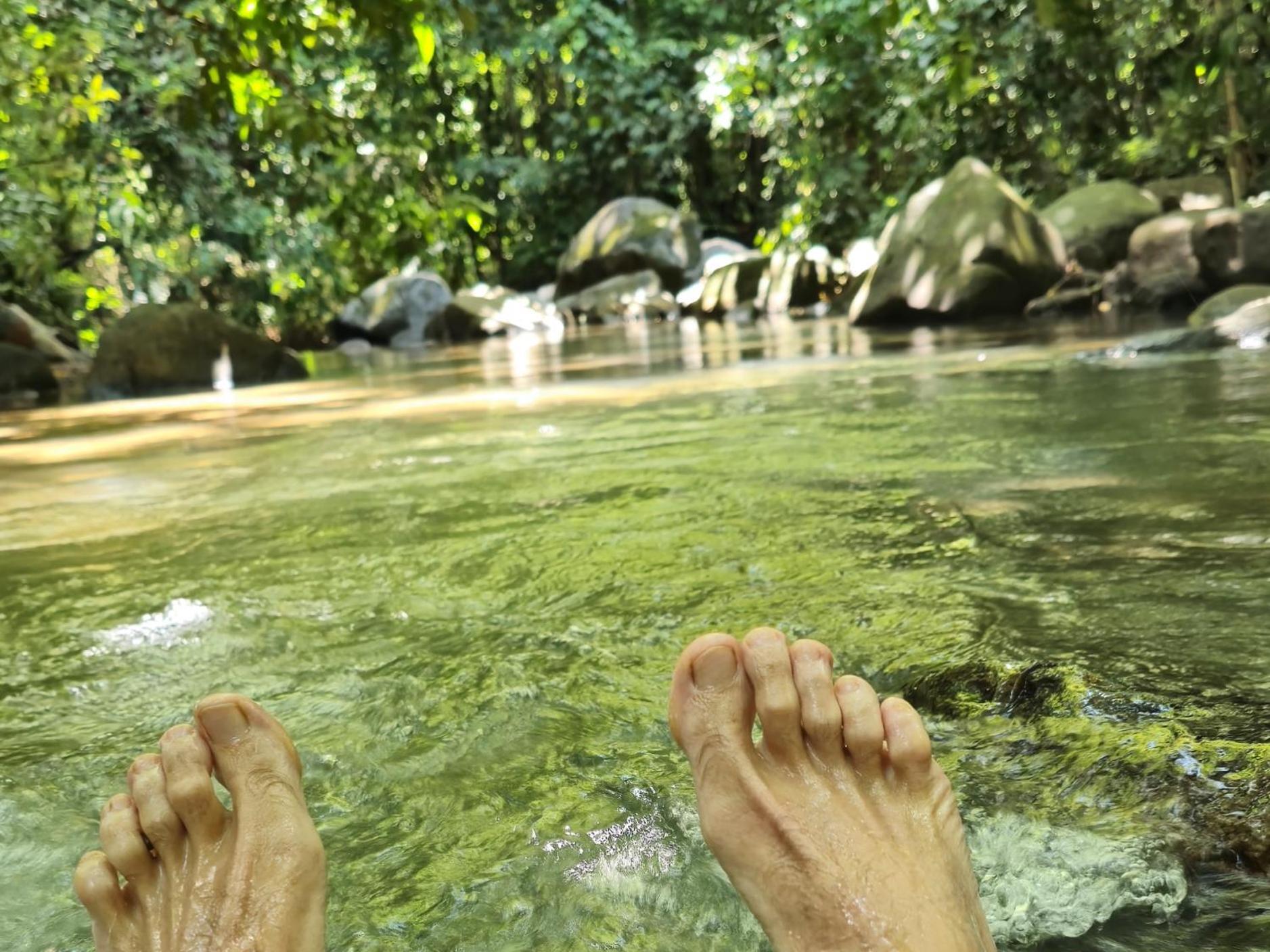 Cool Waters Jungle Villas 乌维塔 外观 照片