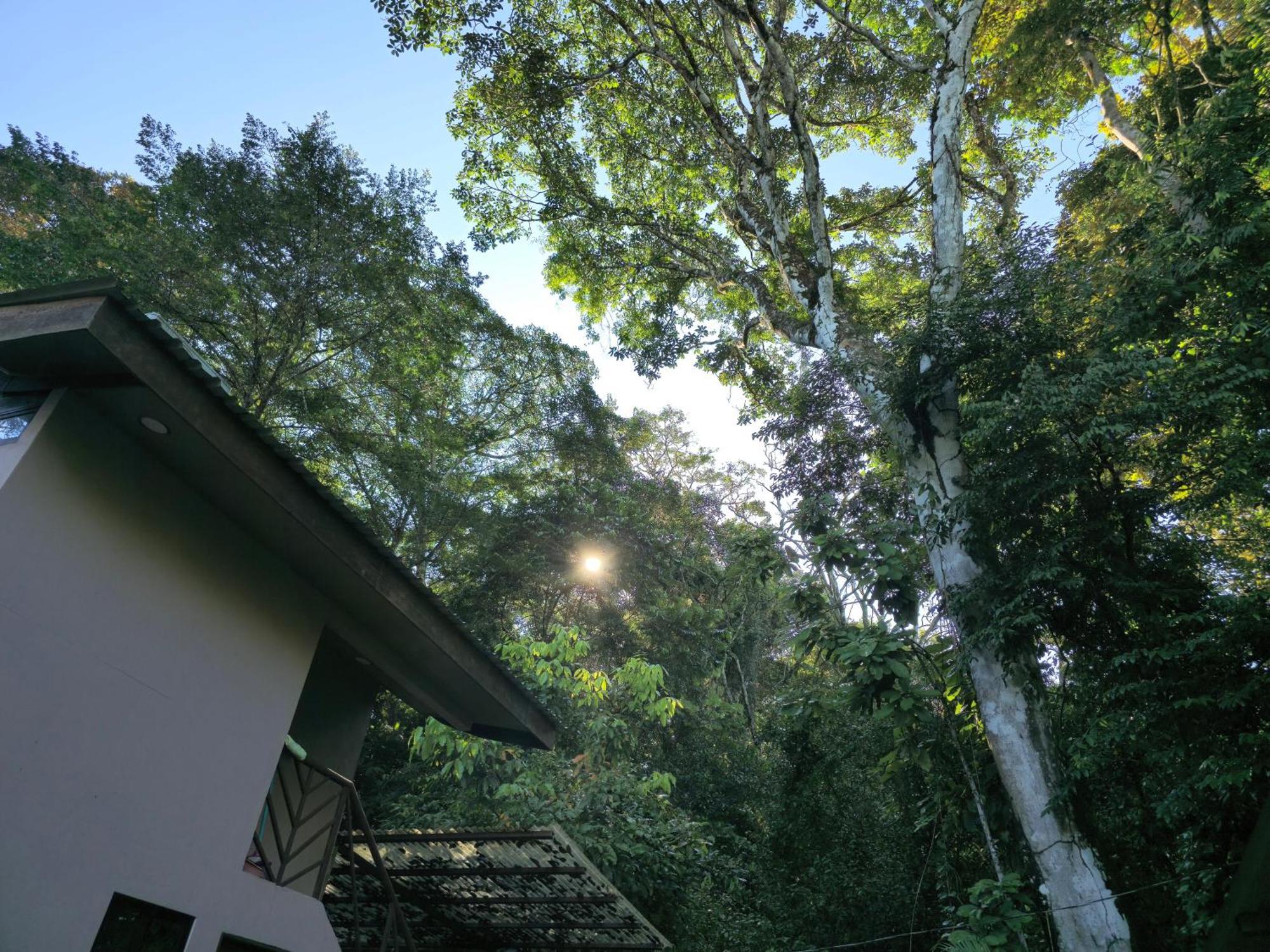 Cool Waters Jungle Villas 乌维塔 外观 照片