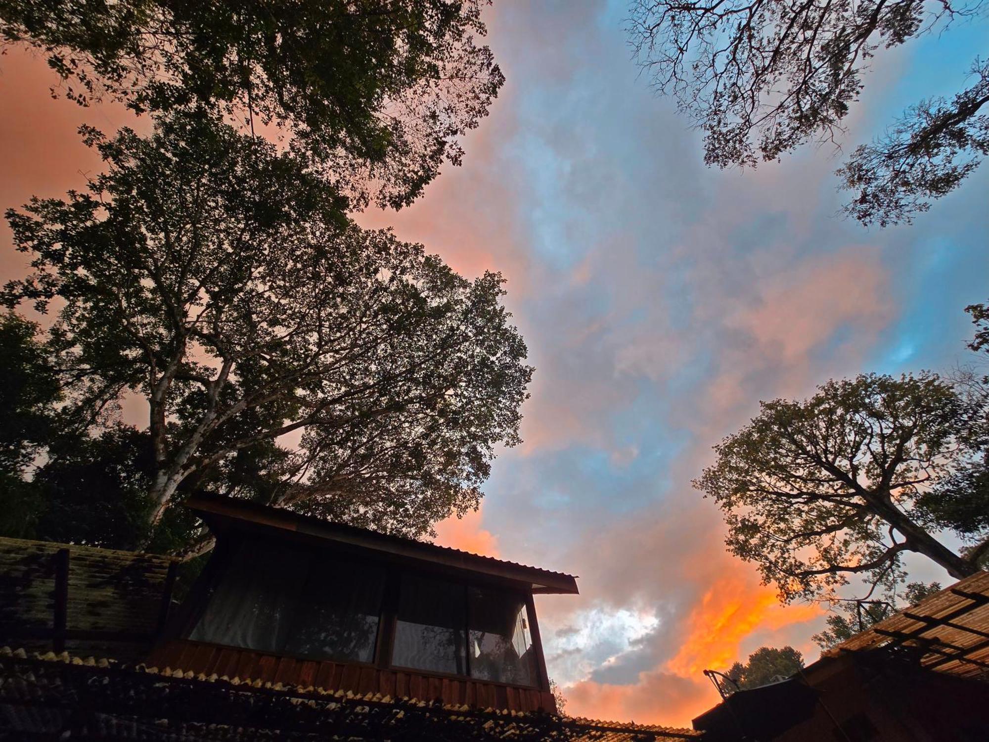Cool Waters Jungle Villas 乌维塔 外观 照片