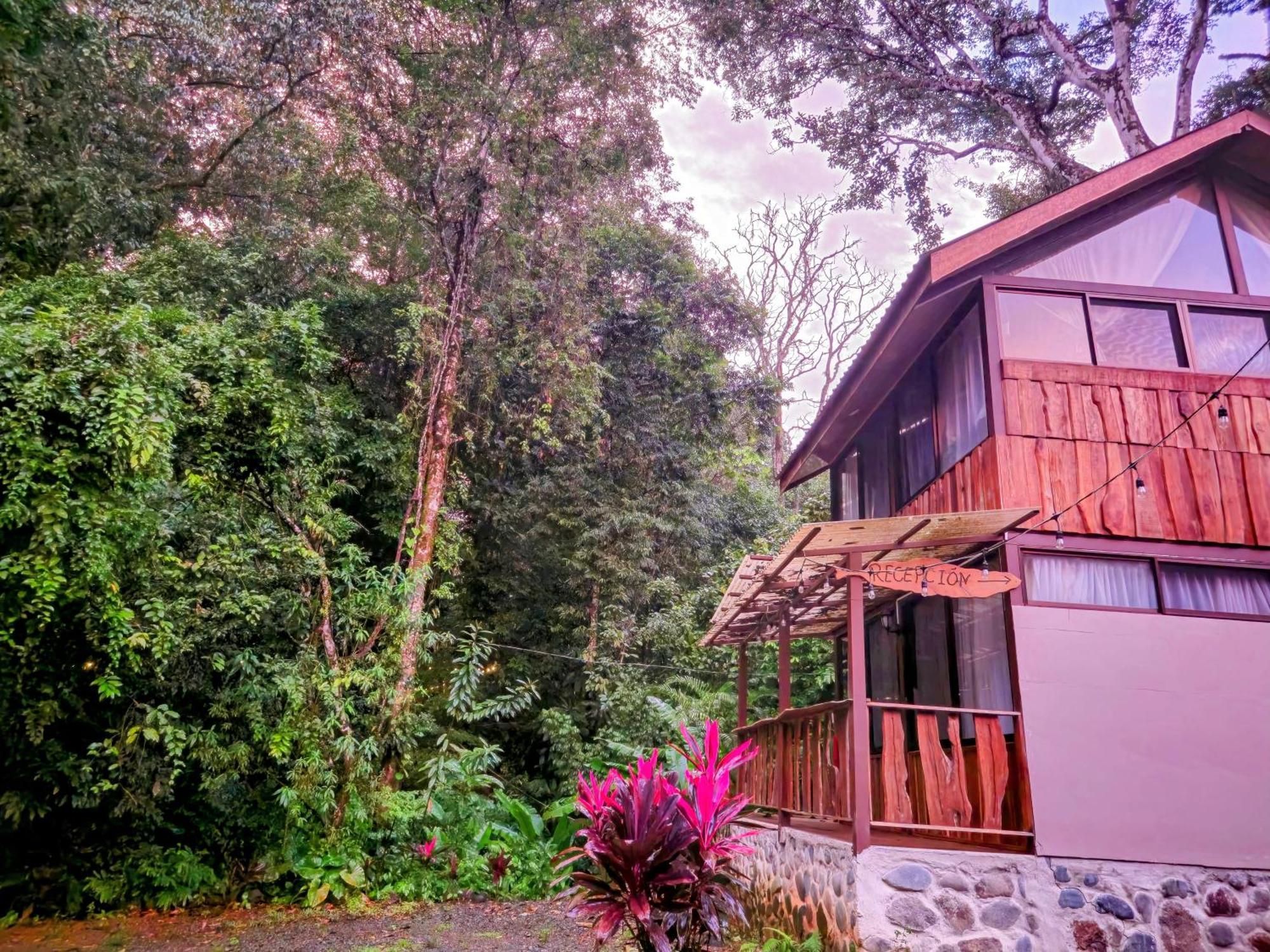 Cool Waters Jungle Villas 乌维塔 外观 照片