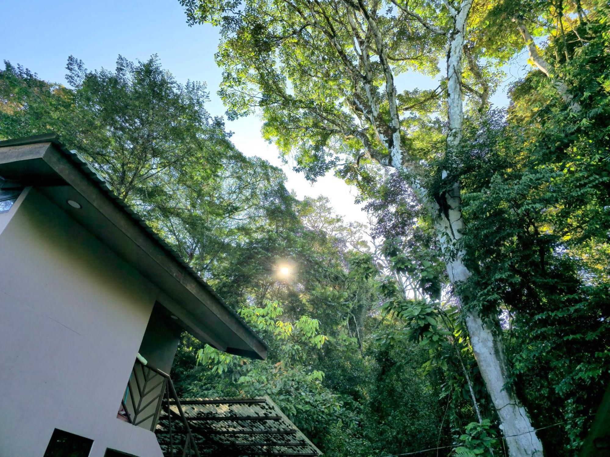 Cool Waters Jungle Villas 乌维塔 外观 照片