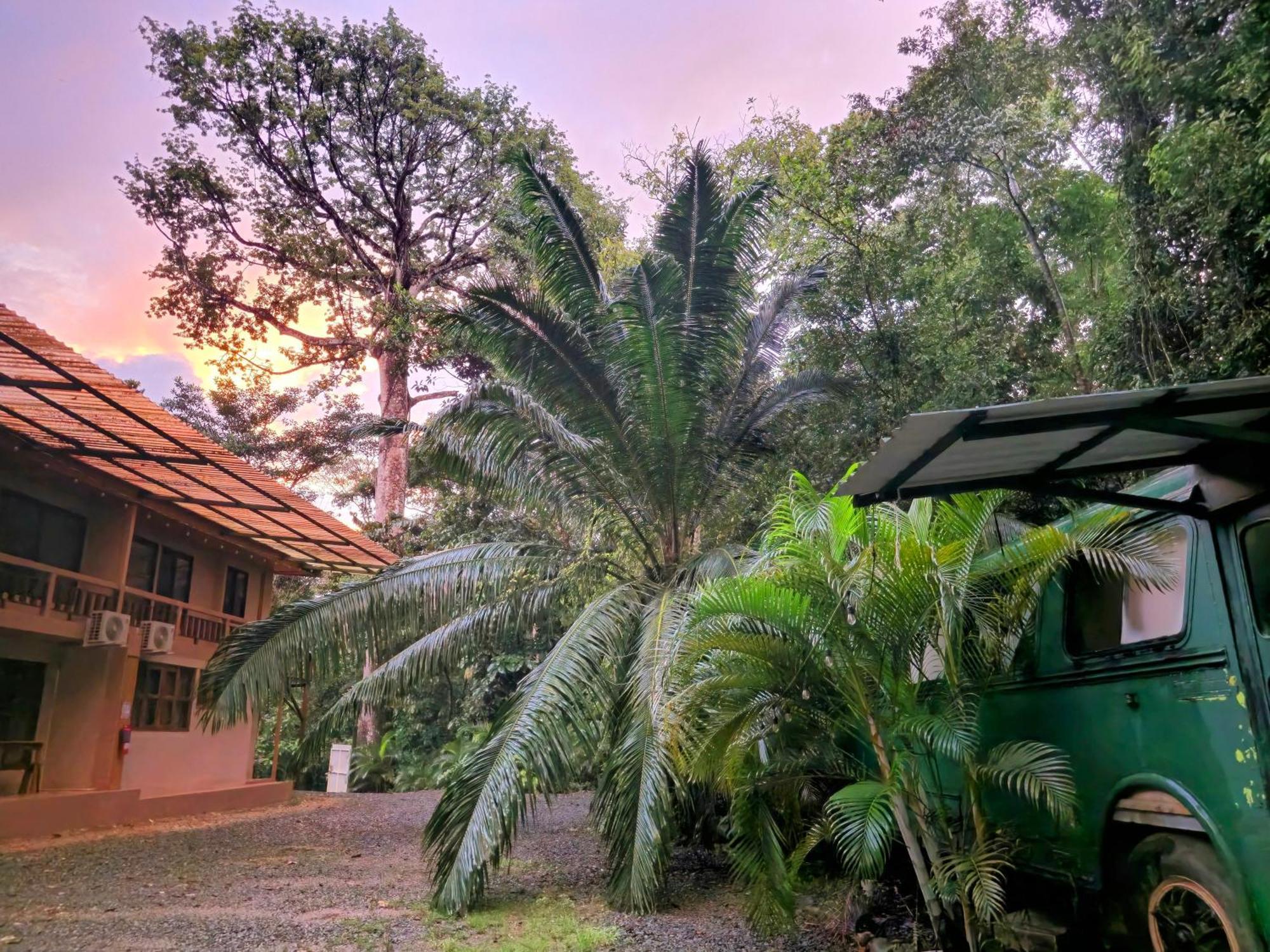 Cool Waters Jungle Villas 乌维塔 外观 照片