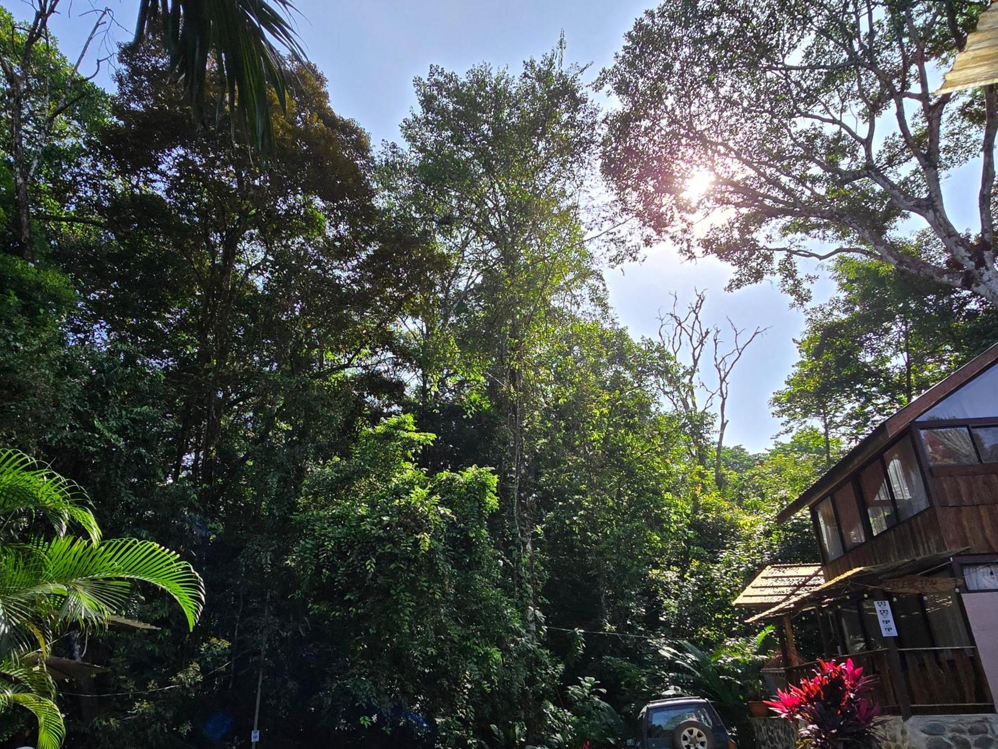 Cool Waters Jungle Villas 乌维塔 外观 照片
