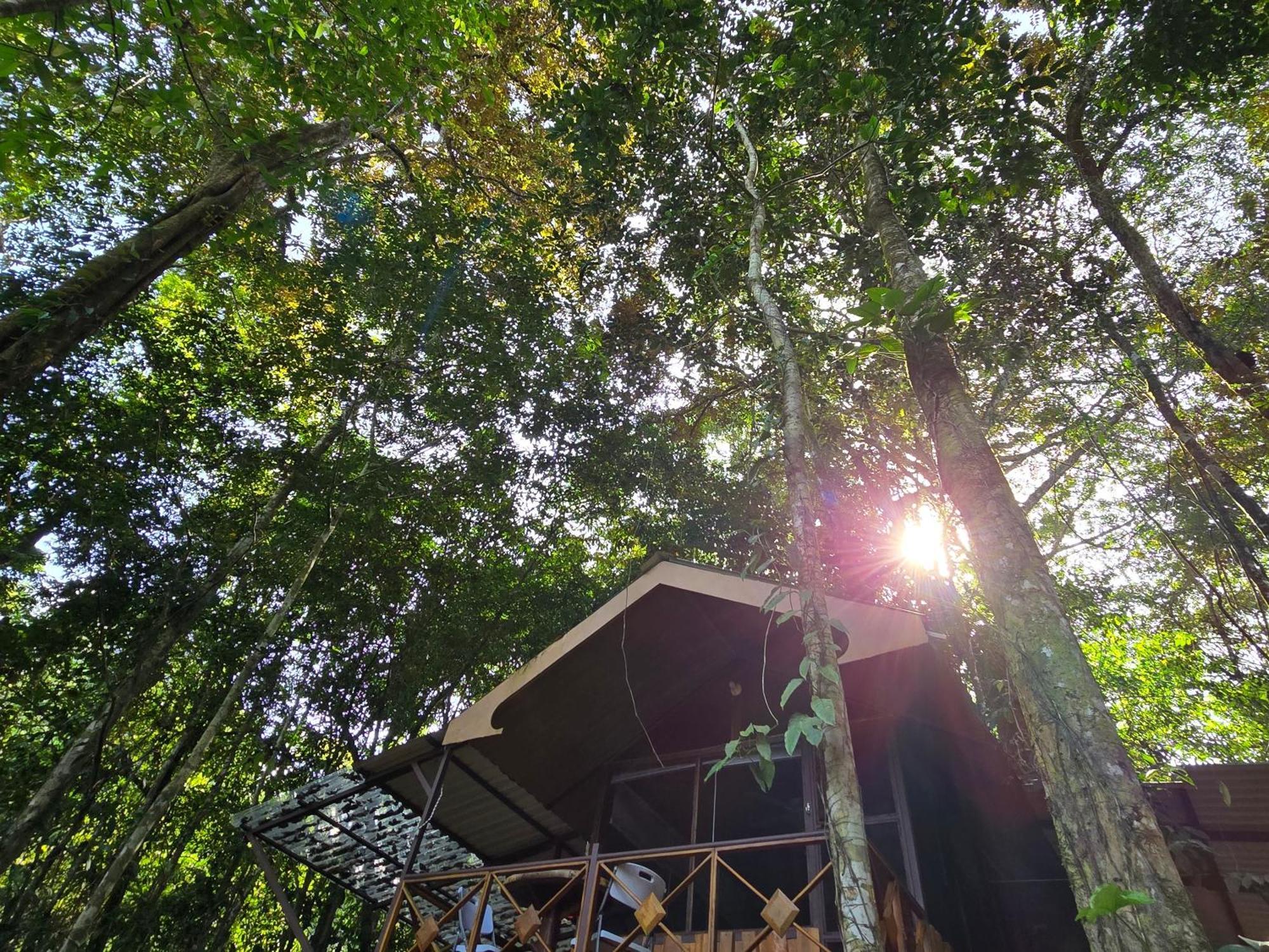 Cool Waters Jungle Villas 乌维塔 外观 照片