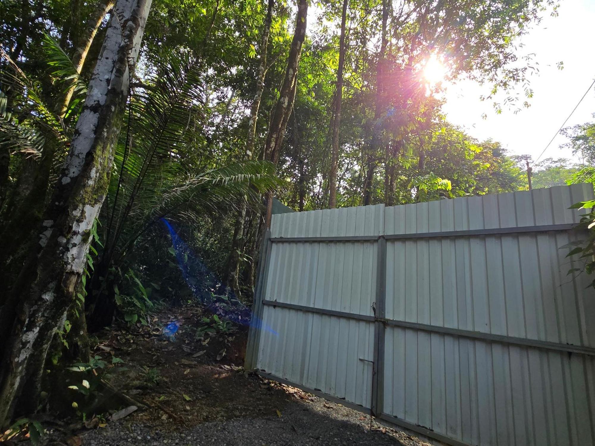 Cool Waters Jungle Villas 乌维塔 外观 照片