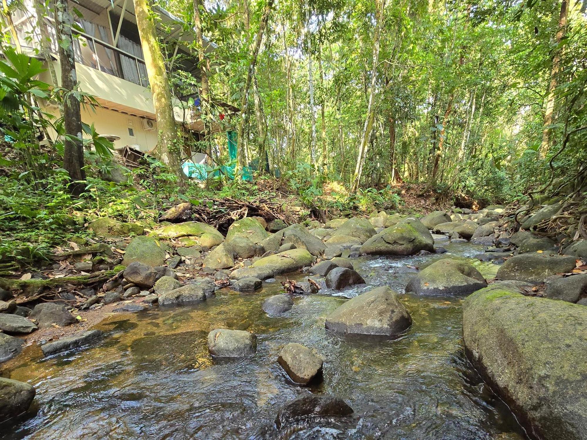 Cool Waters Jungle Villas 乌维塔 外观 照片